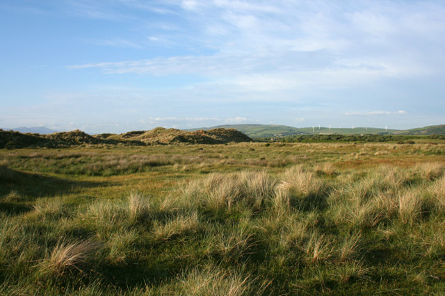 Sandscale Haws National Nature Reserve